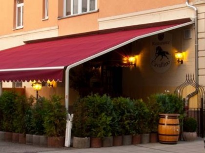 Foto: Cavallino